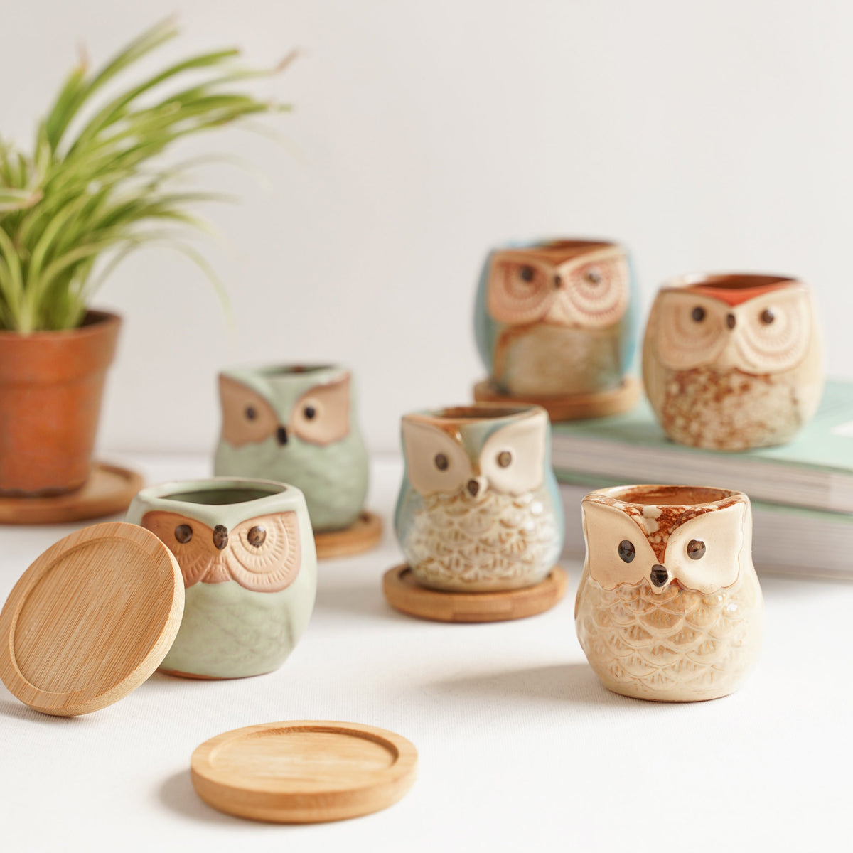 Owl Planters Set of 6 Nestasia