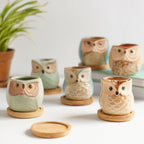 Owl Planters Set of 6 Nestasia