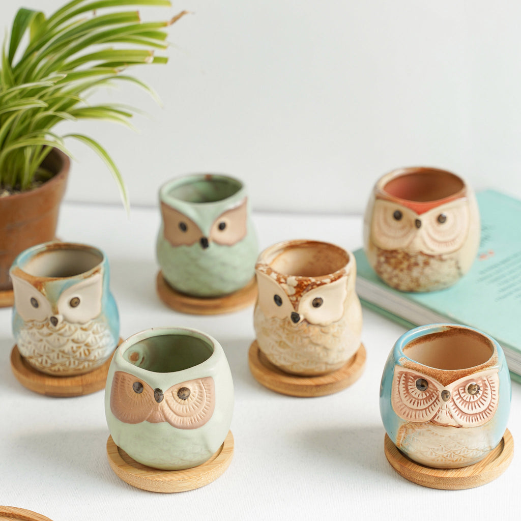 Owl Planters Set of 6 Nestasia