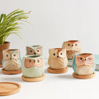 Owl Planters Set of 6 Nestasia