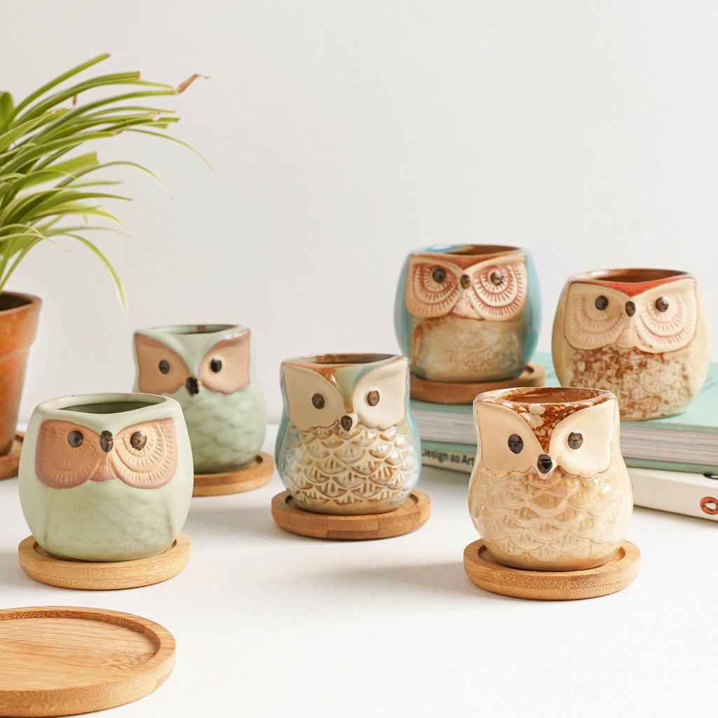 Owl Planters Set of 6 Nestasia