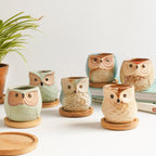 Owl Planters Set of 6 Nestasia
