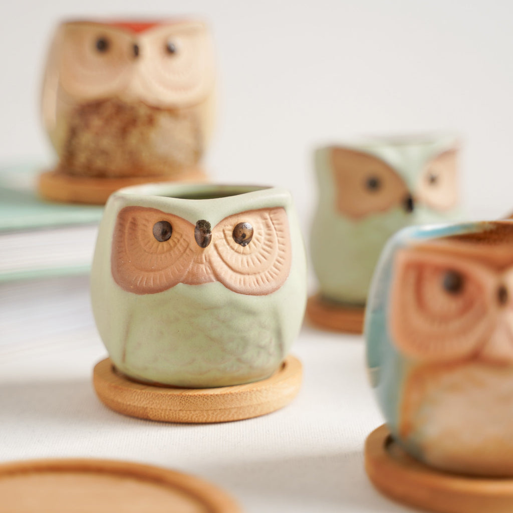 Owl Planters Set of 6 Nestasia