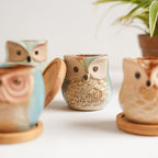 Owl Planters Set of 6 Nestasia