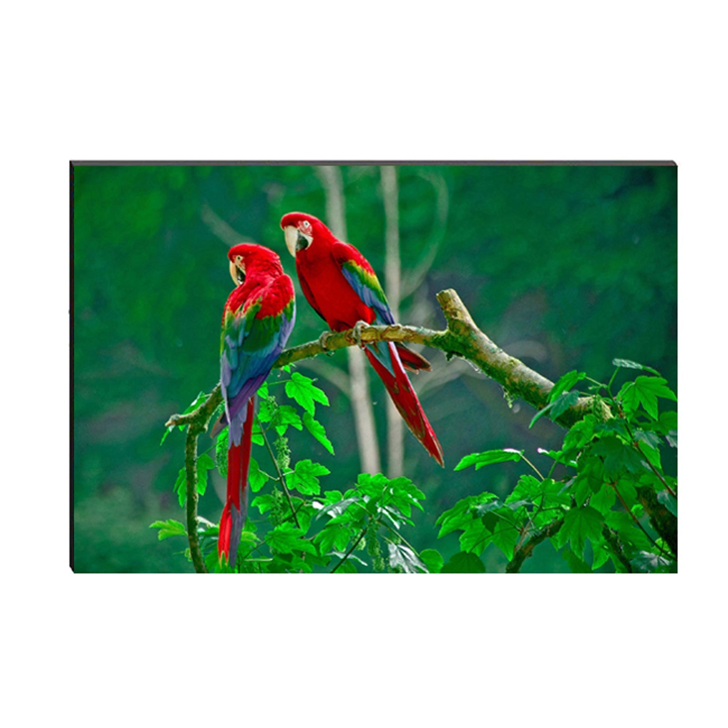 6MM MDF Colorful Parrot Satin Matt Texture UV Art Painting Kafalo