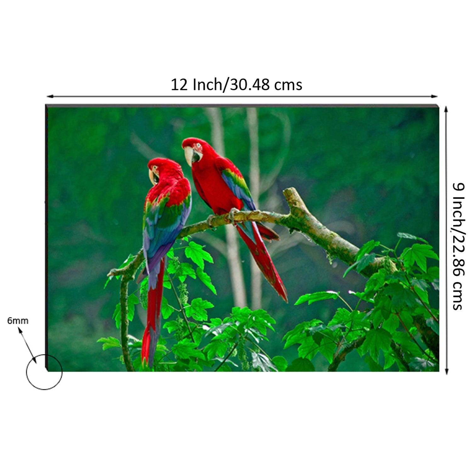 6MM MDF Colorful Parrot Satin Matt Texture UV Art Painting Kafalo