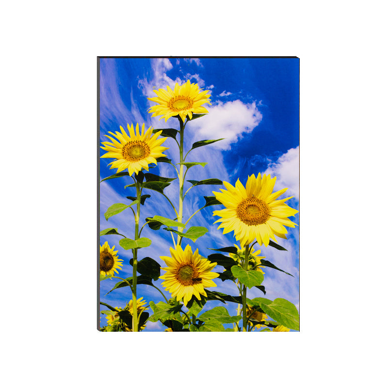 6MM MDF Sunflowers Satin Matt Texture UV Art Painting Kafalo