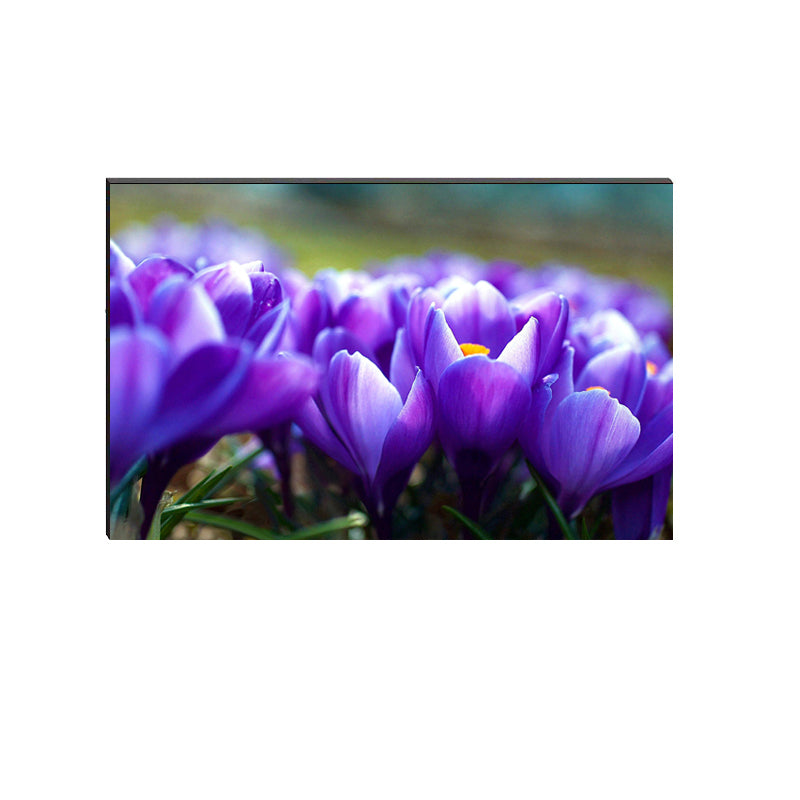 6MM MDF Colorful Flowers Satin Matt Texture UV Art Painting Kafalo