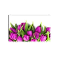 6MM MDF Colorful Flowers Satin Matt Texture UV Art Painting Kafalo