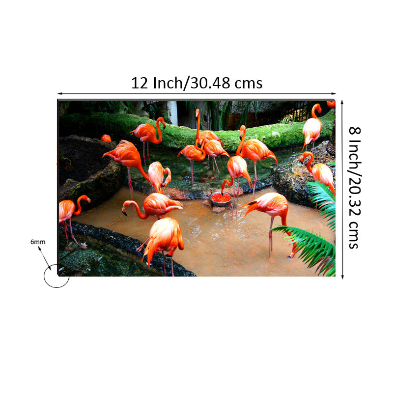 6MM MDF Colorful Swans Satin Matt Texture UV Art Painting Kafalo