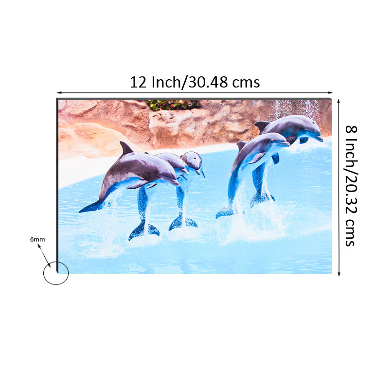 6MM MDF Jumping Dolphins Satin Matt Texture UV Art Painting Kafalo