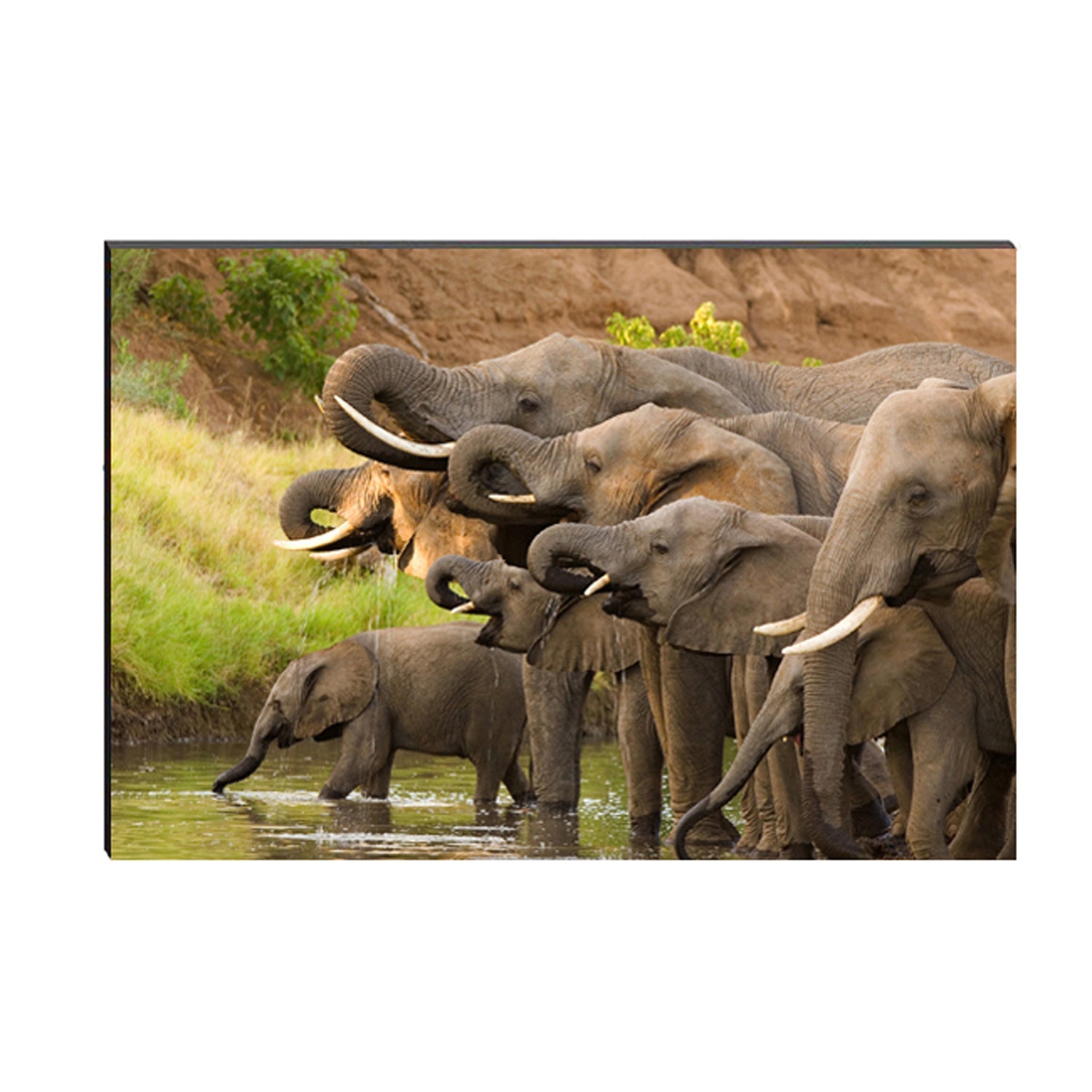6MM MDF Group of Elephants Satin Matt Texture UV Art Painting Kafalo