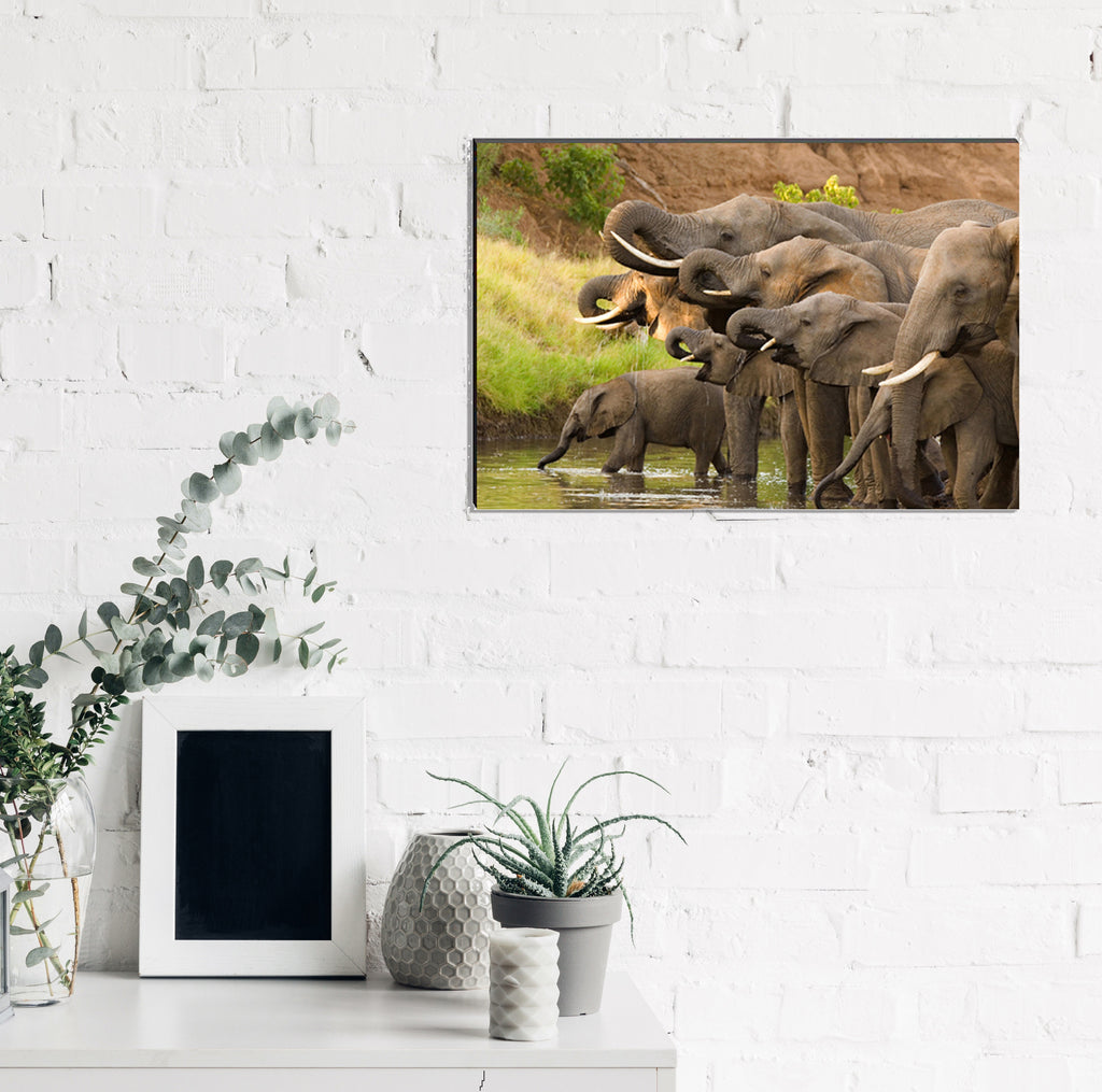 6MM MDF Group of Elephants Satin Matt Texture UV Art Painting Kafalo