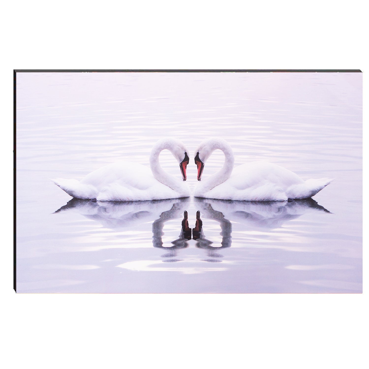 6MM MDF Swan Couple Satin Matt Texture UV Art Painting Kafalo