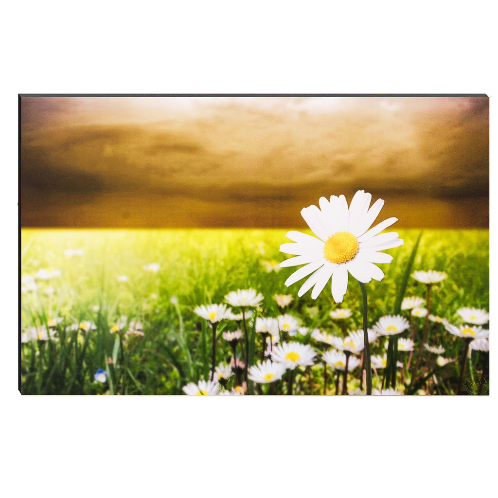 6MM MDF Botanical Floral Satin Matt Texture UV Art Painting Kafalo