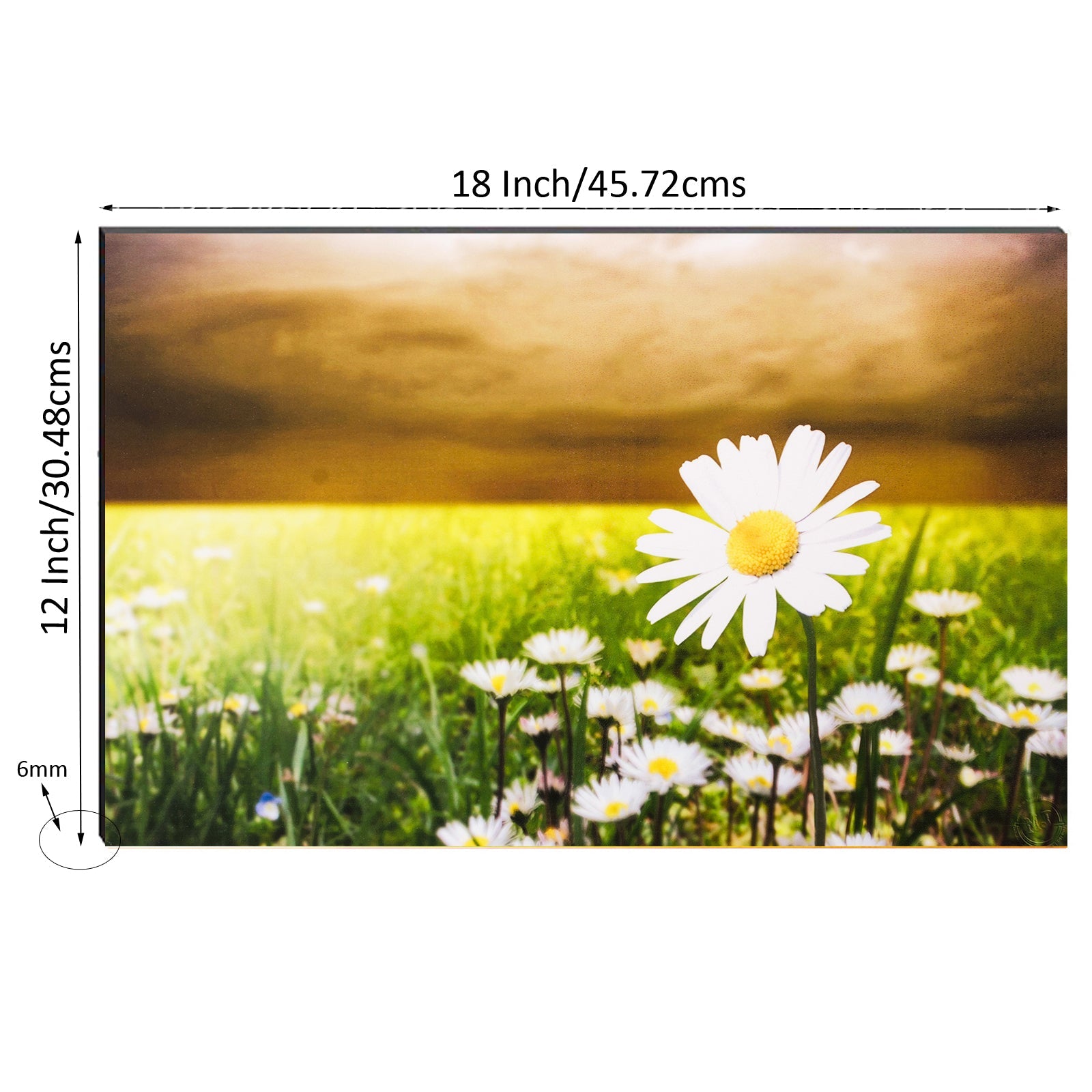 6MM MDF Botanical Floral Satin Matt Texture UV Art Painting Kafalo