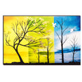 6MM MDF Shades of Tree in Different Season Satin Matt Texture UV Art Painting Kafalo