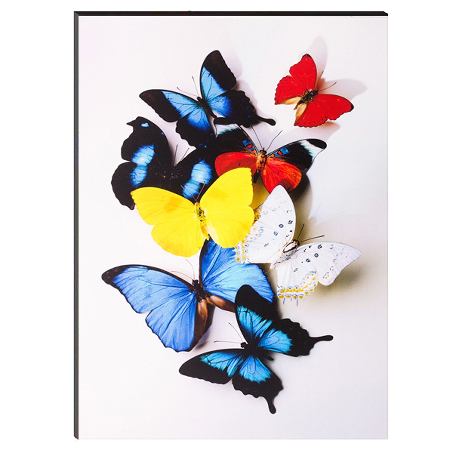 6MM MDF Colorful Butterflies Satin Matt Texture UV Art Painting Kafalo