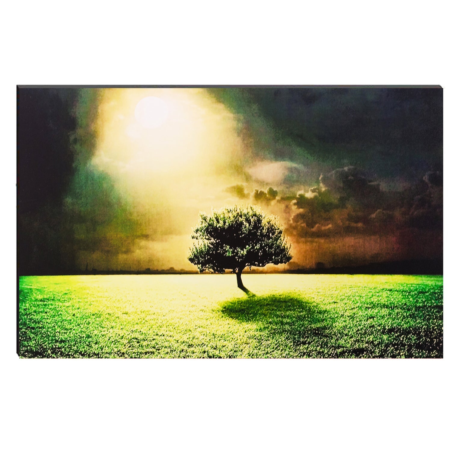6MM MDF Beautiful Tree Under Moon Light Satin Matt Texture UV Art Painting Kafalo