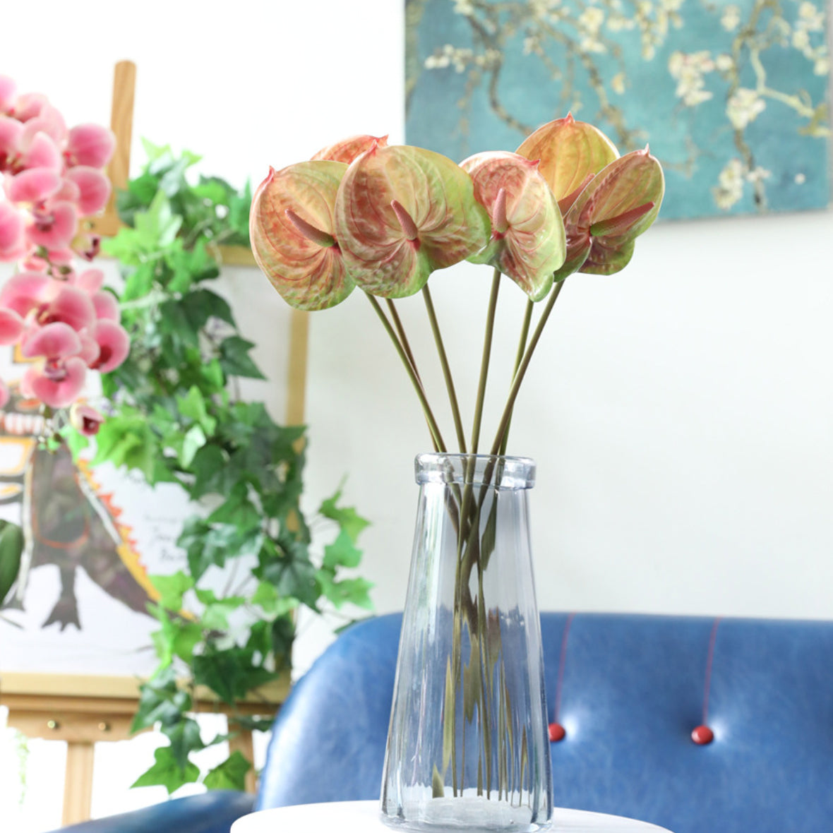 Anthurium Nestasia
