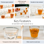 Party Shot Glass Set Of 12 50ml Nestasia