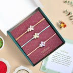 Pastel Butterfly Trio Rakhi Gift Set Nestasia