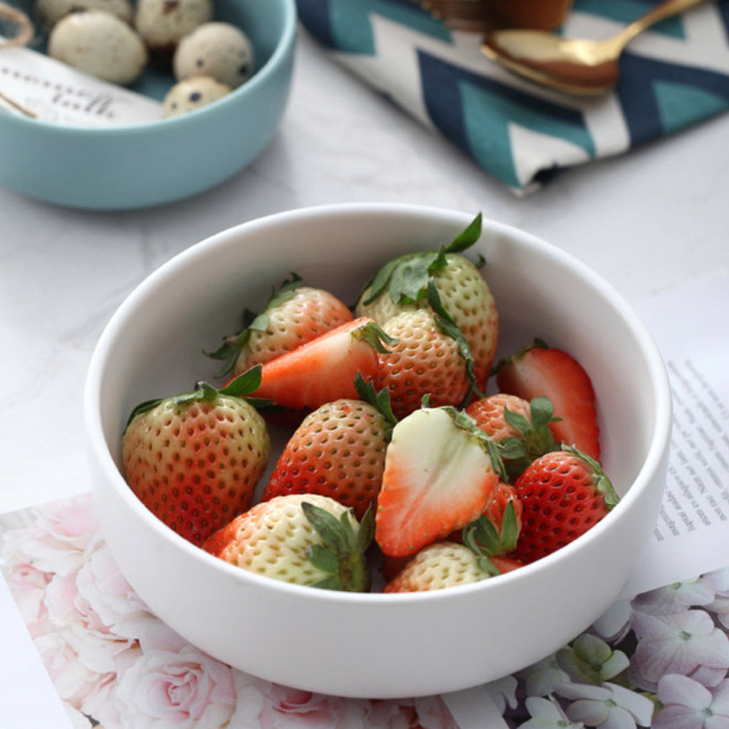 Pastel Cereal Bowl Nestasia
