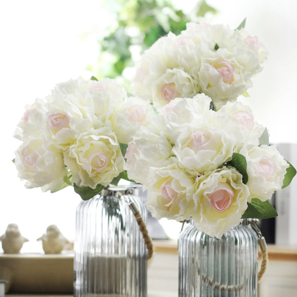 Peony Roses Nestasia