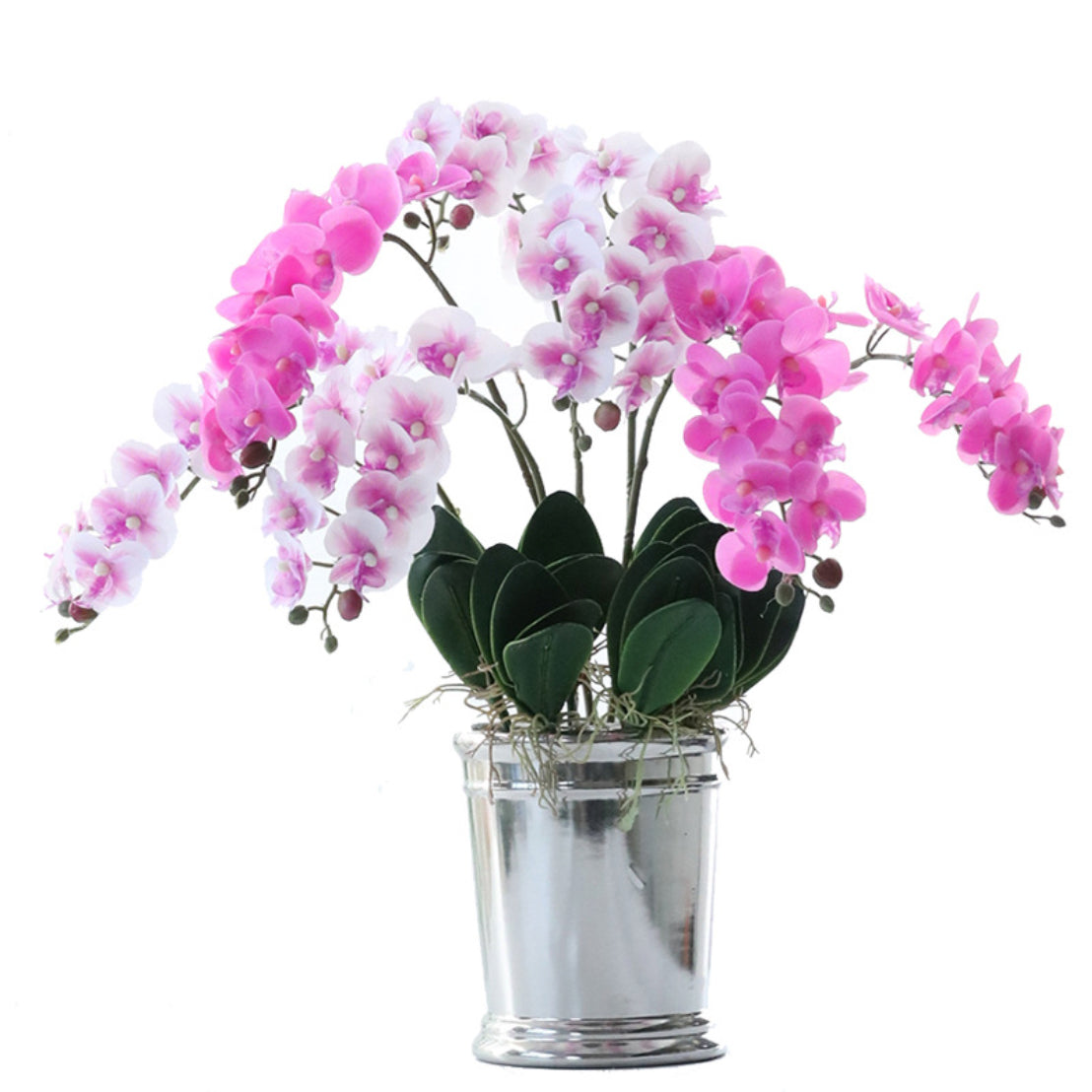 Artificial Orchids Nestasia