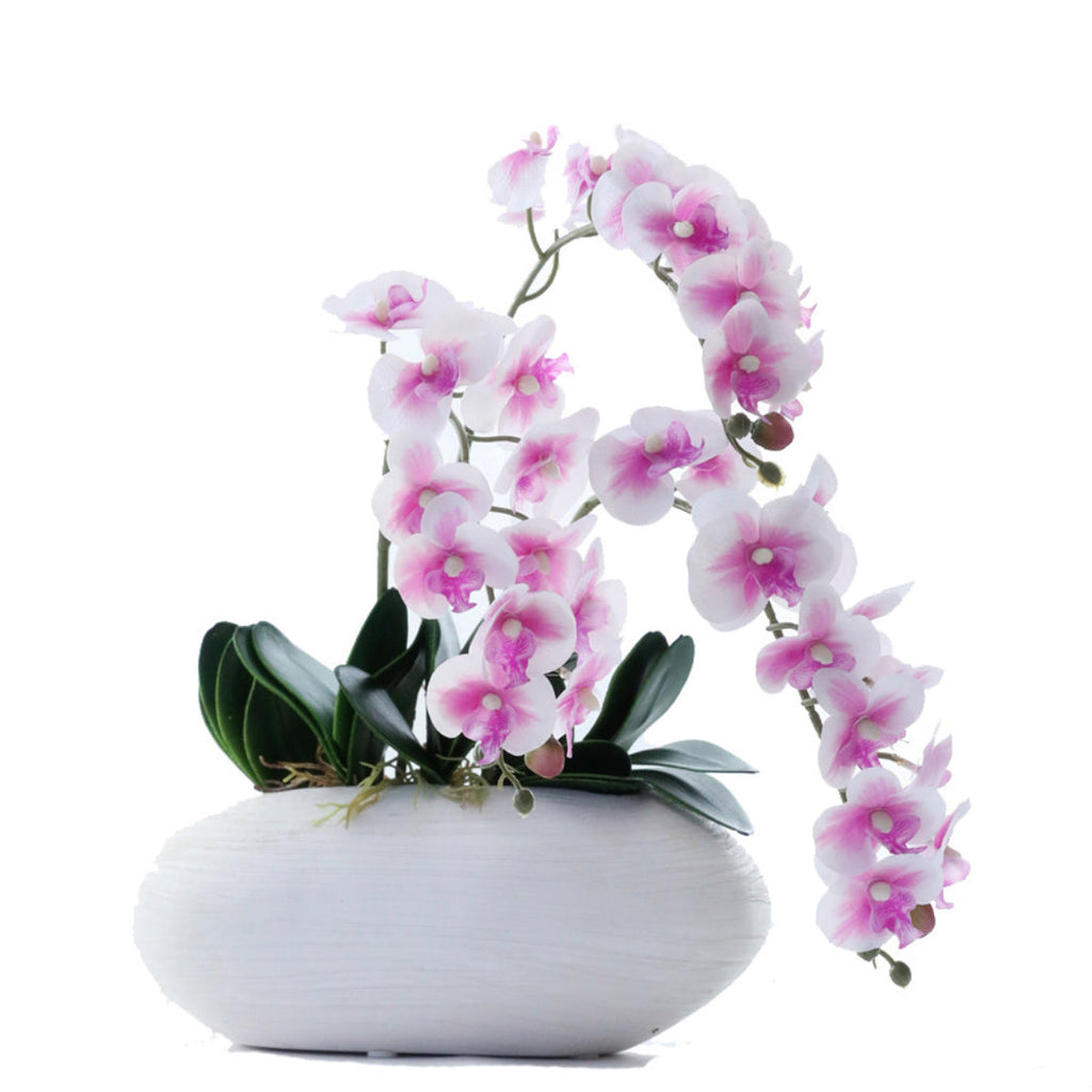 Artificial Orchids Nestasia