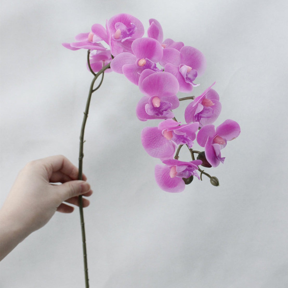 Artificial Orchids Nestasia