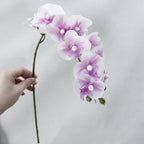 Artificial Orchids Nestasia
