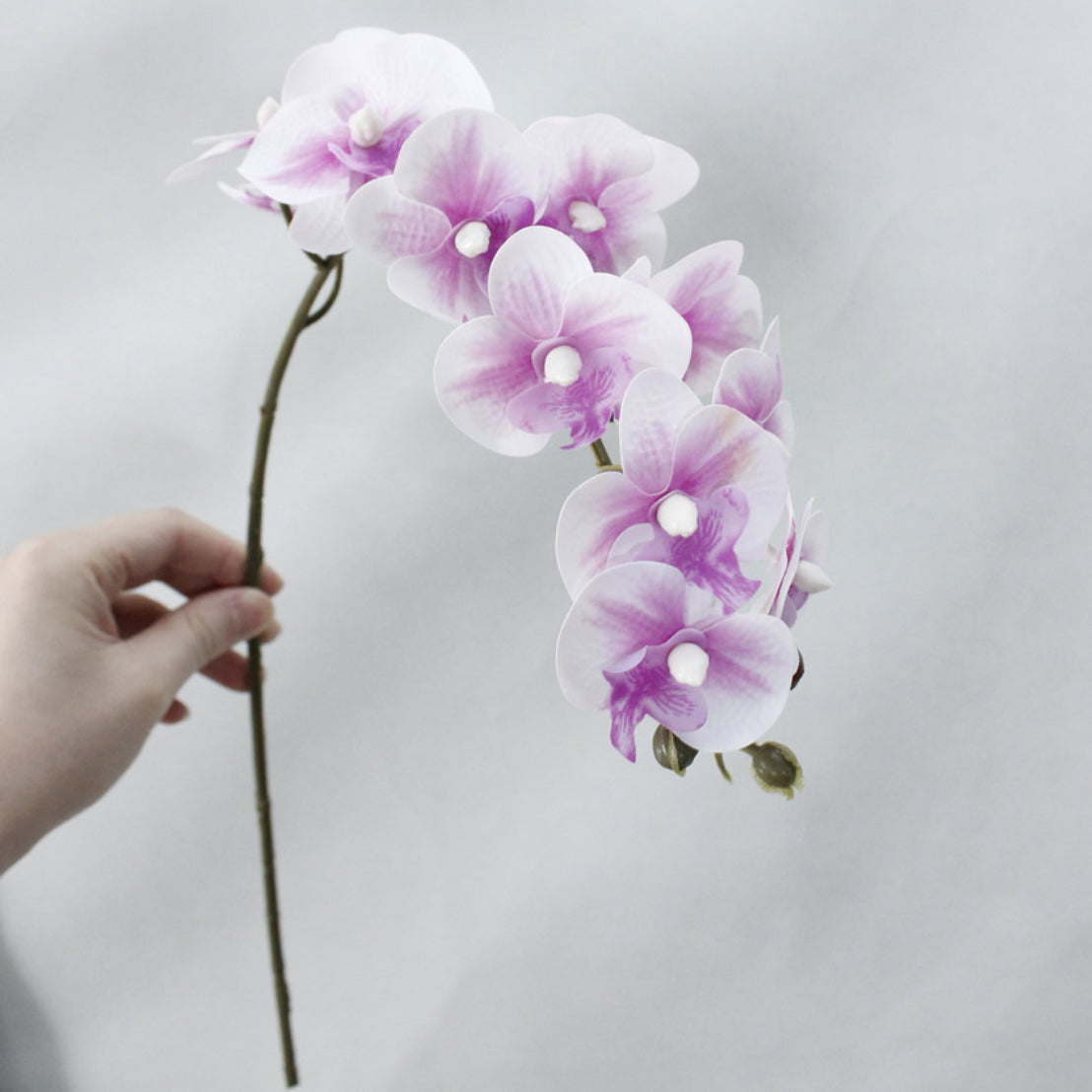 Artificial Orchids Nestasia
