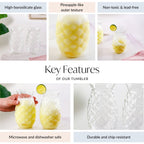 Pineapple Drinking Glass Set Of 2 500ml Nestasia