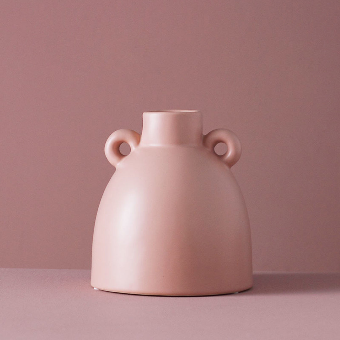 Plant Vase Nestasia