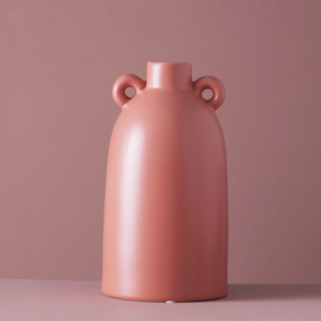 Plant Vase Nestasia