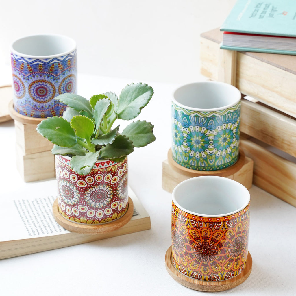 House Plant Pots Nestasia