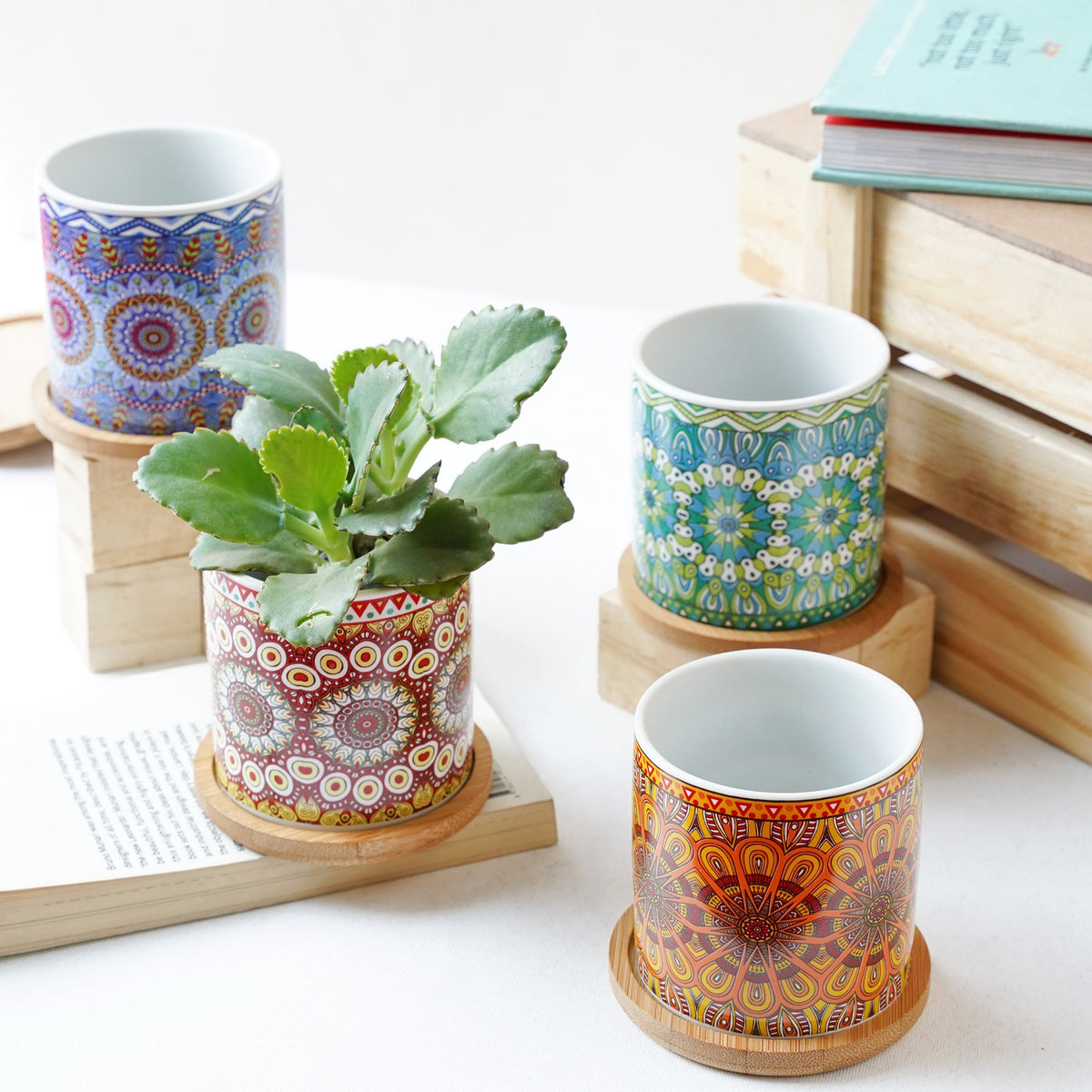 House Plant Pots Nestasia