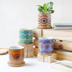 House Plant Pots Nestasia