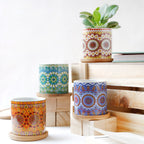 House Plant Pots Nestasia