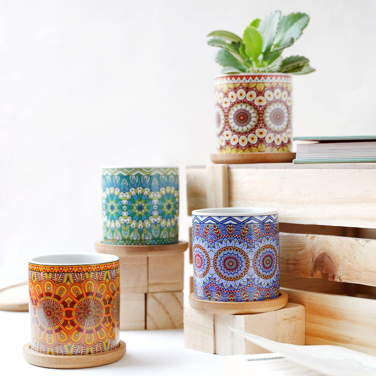 House Plant Pots Nestasia
