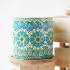 House Plant Pots Nestasia