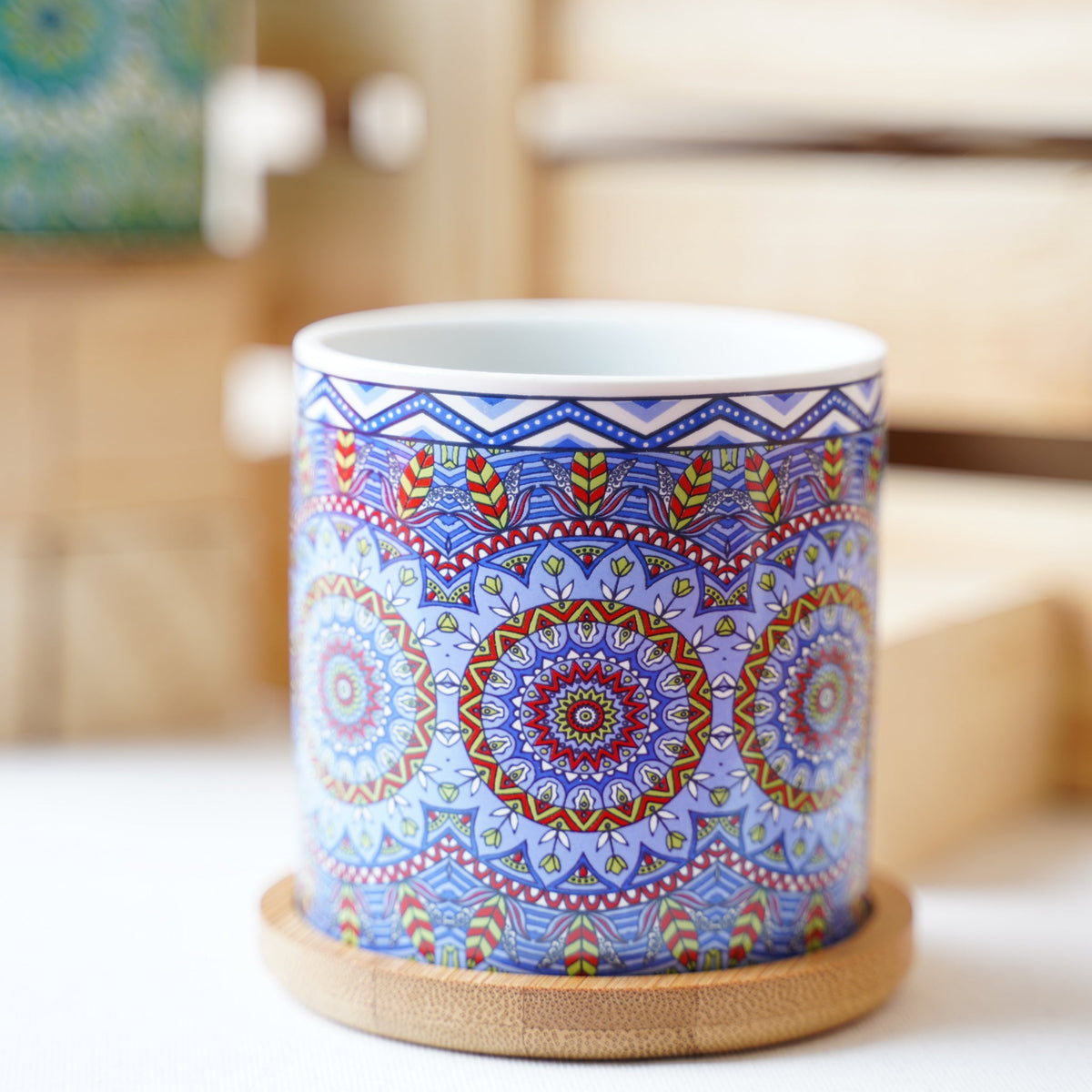 House Plant Pots Nestasia
