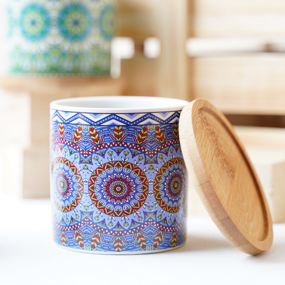House Plant Pots Nestasia