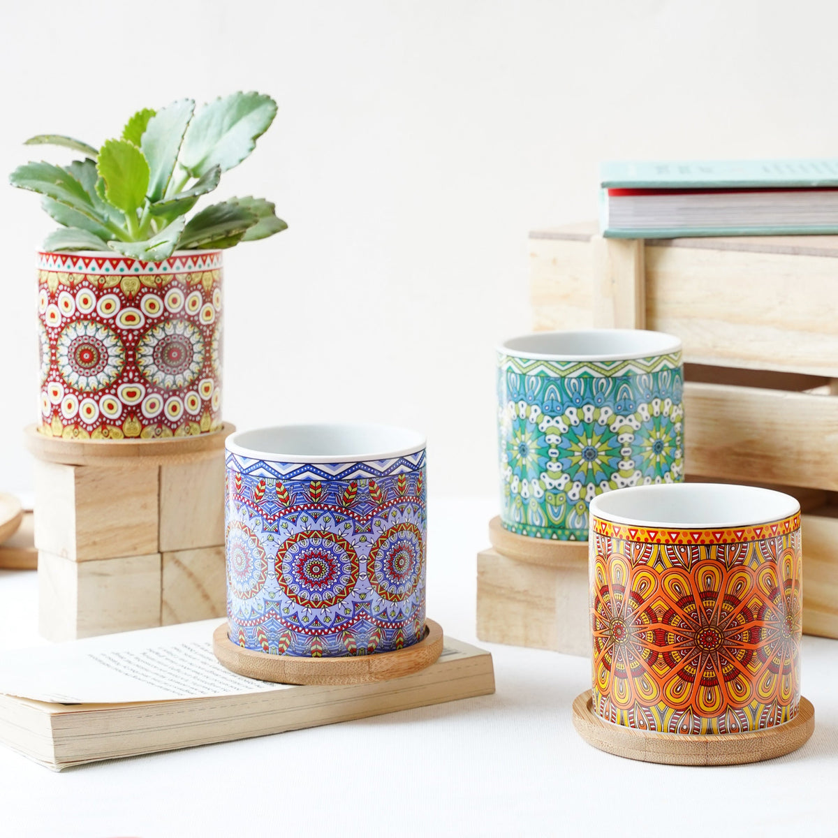House Plant Pots Nestasia