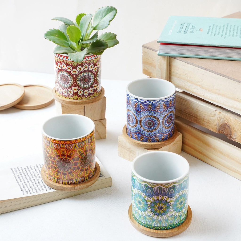 House Plant Pots Nestasia
