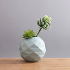 Plant Pot Nestasia