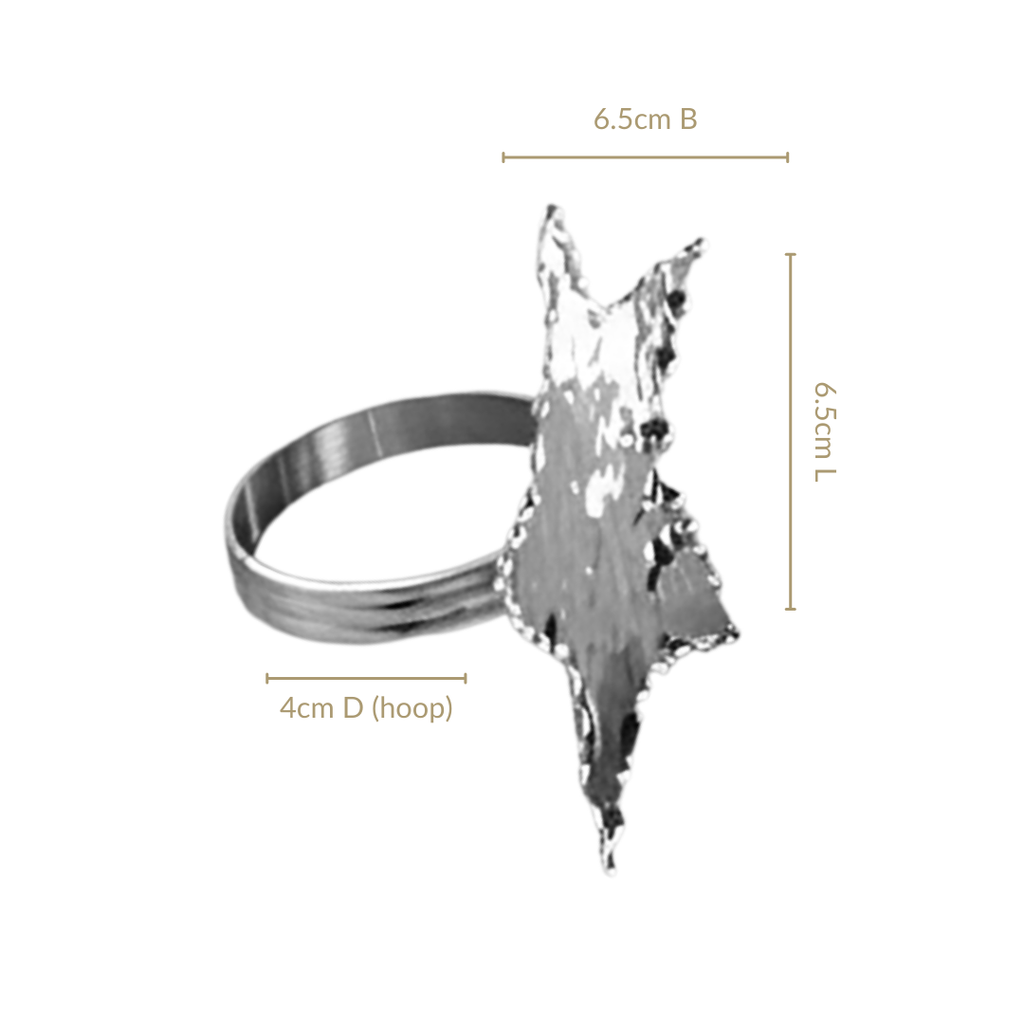Star Napkin Ring Set Of 6 Silver Nestasia