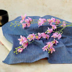 Purple Jasmine Nestasia