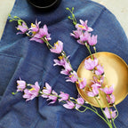 Purple Jasmine Nestasia
